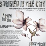 Missouri Prison Newsletter #6--Ferguson